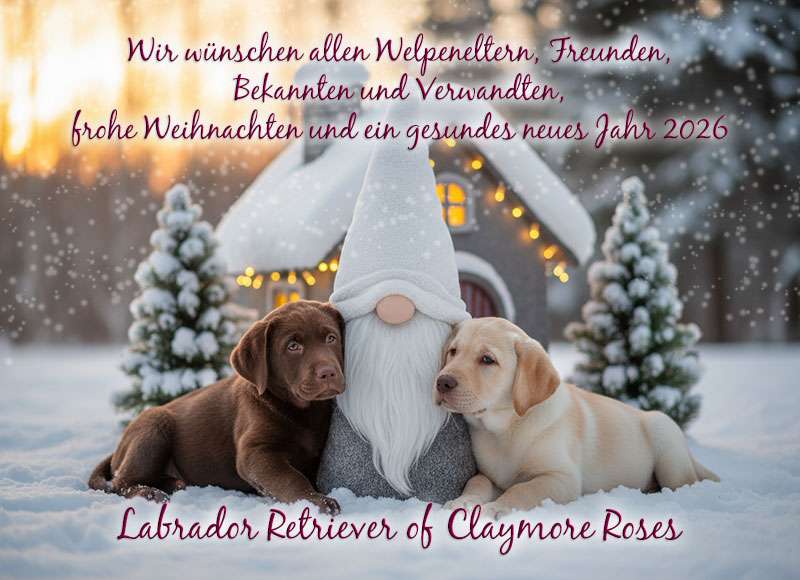 Frohe Weihnachten